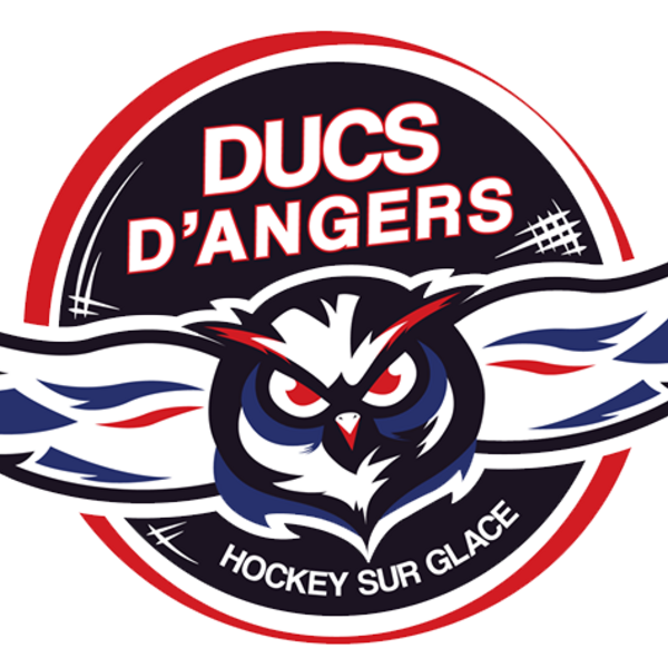 BOXERS BORDEAUX - DUCS D'ANGERS