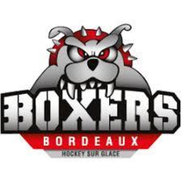 BOXERS BORDEAUX - REFERENCE